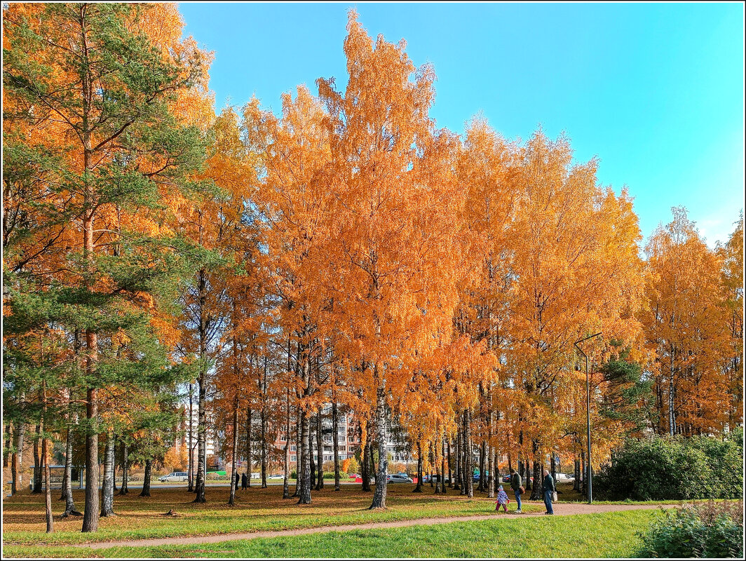 Осенний пейзаж - Любовь Зинченко 