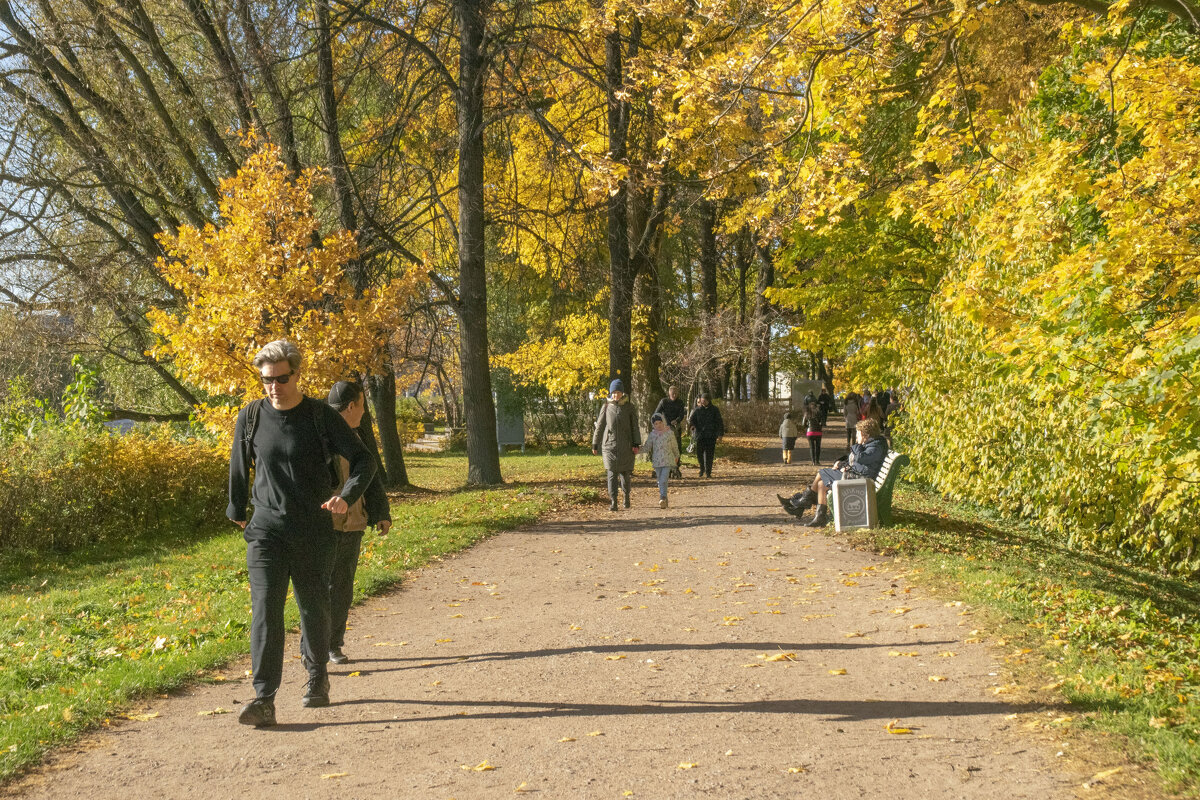 Прогулка по парку в последние дни золотой осени - Стальбаум Юрий 