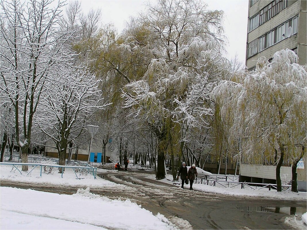 Первый снег - Геннадий Худолеев Худолеев