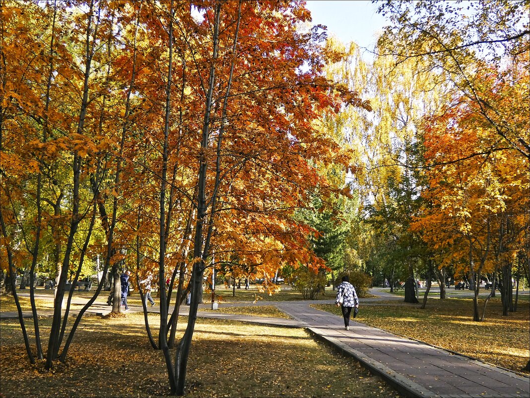 В осеннем парке - Валентина *