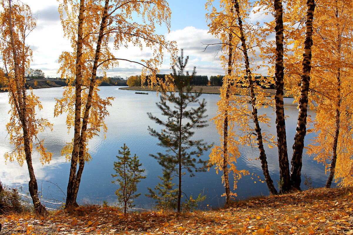 Осень необыкновенная красавица - tamara kremleva