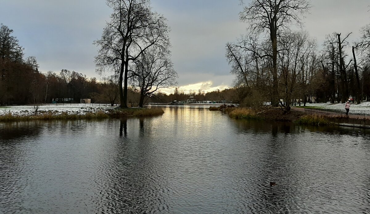 Царское Село. Ноябрь - Наталья Герасимова