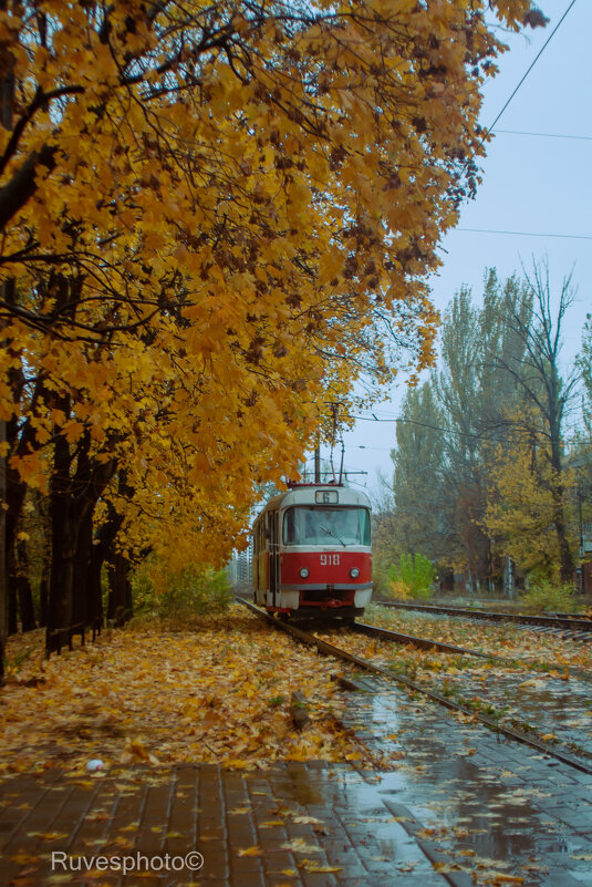Осенний трамвай. - Руслан Веселов