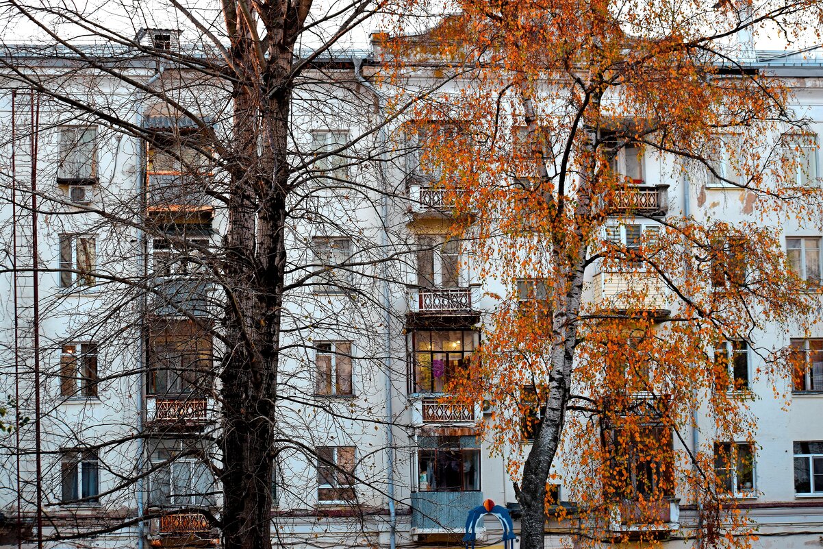 Во дворе старого дома. - Татьяна Помогалова