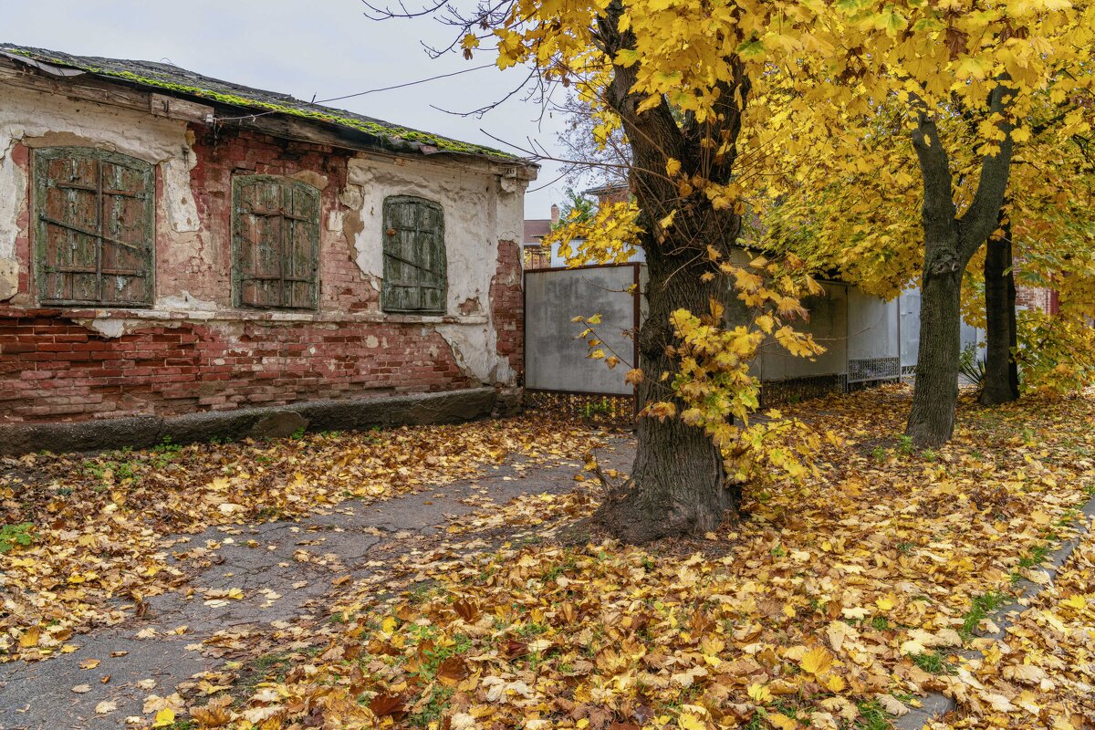 Осень в квадрате - Константин Бобинский
