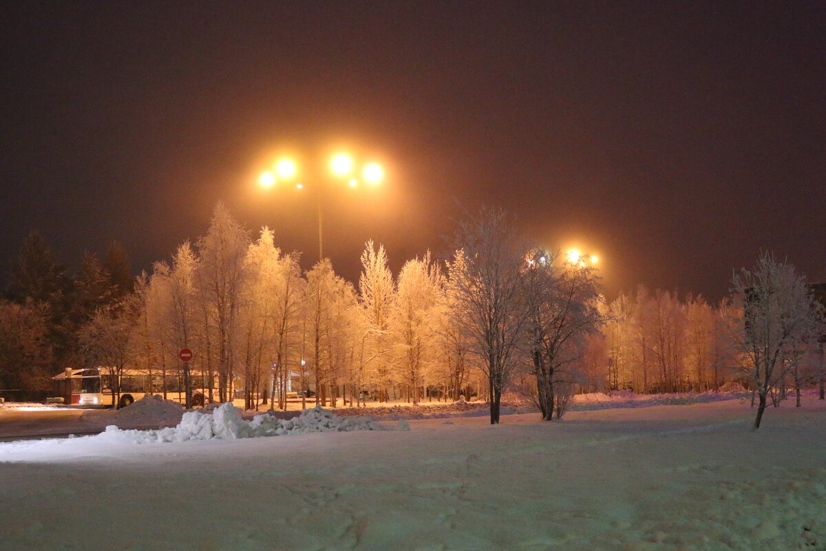 Туманный вечер - Ольга 