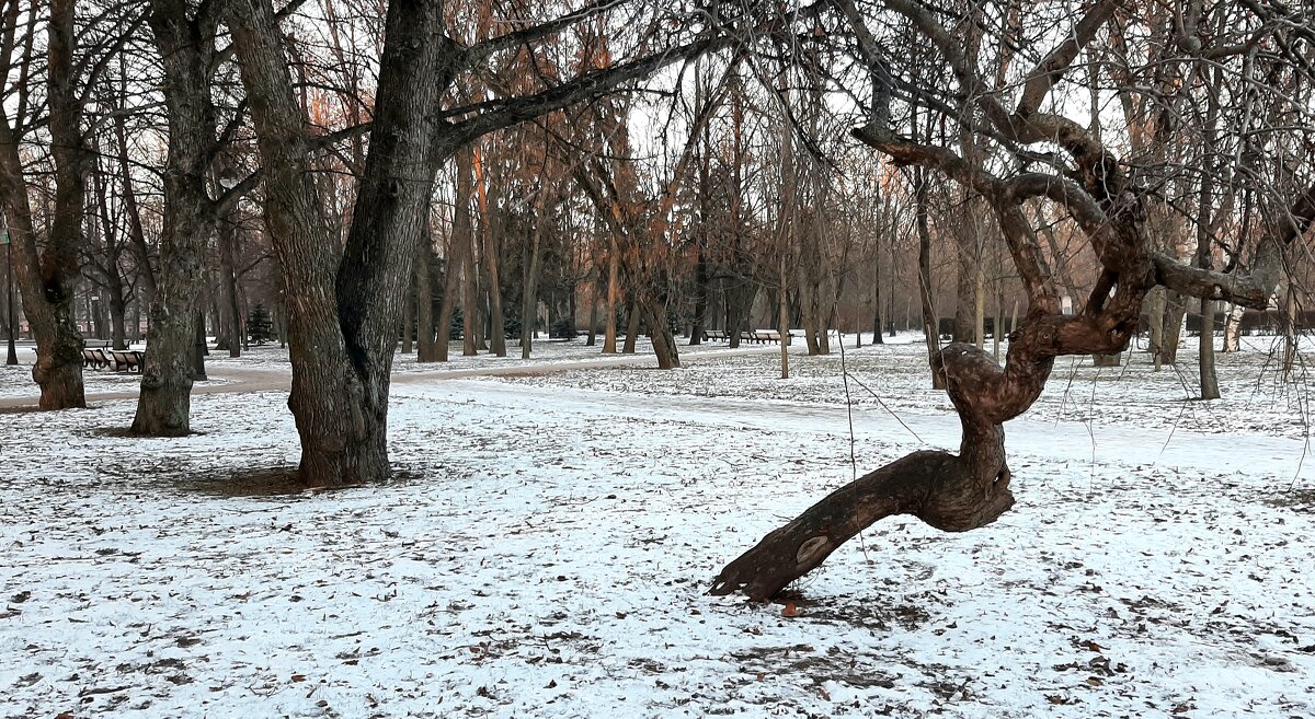 В зимнем парке - Наталья Герасимова