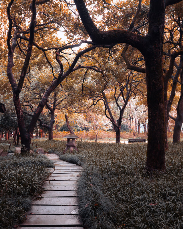 Парк в Ханчжоу - Дмитрий 