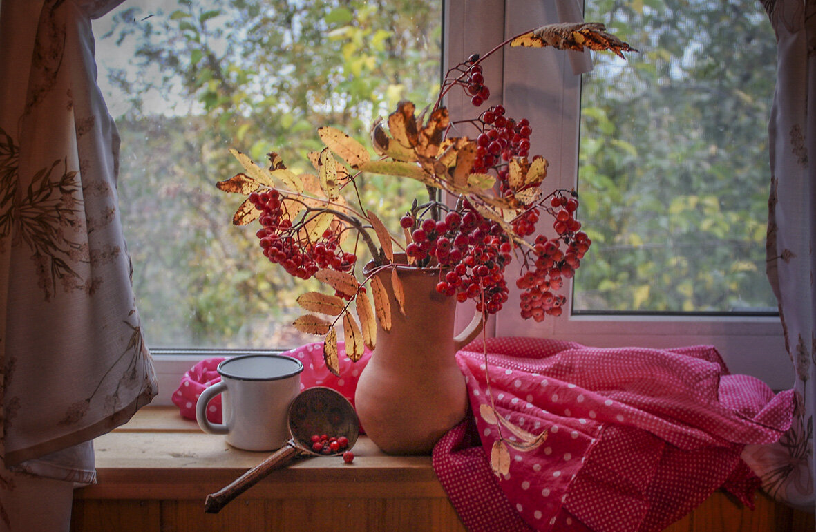 Осень на окне... - Svetlana Sneg