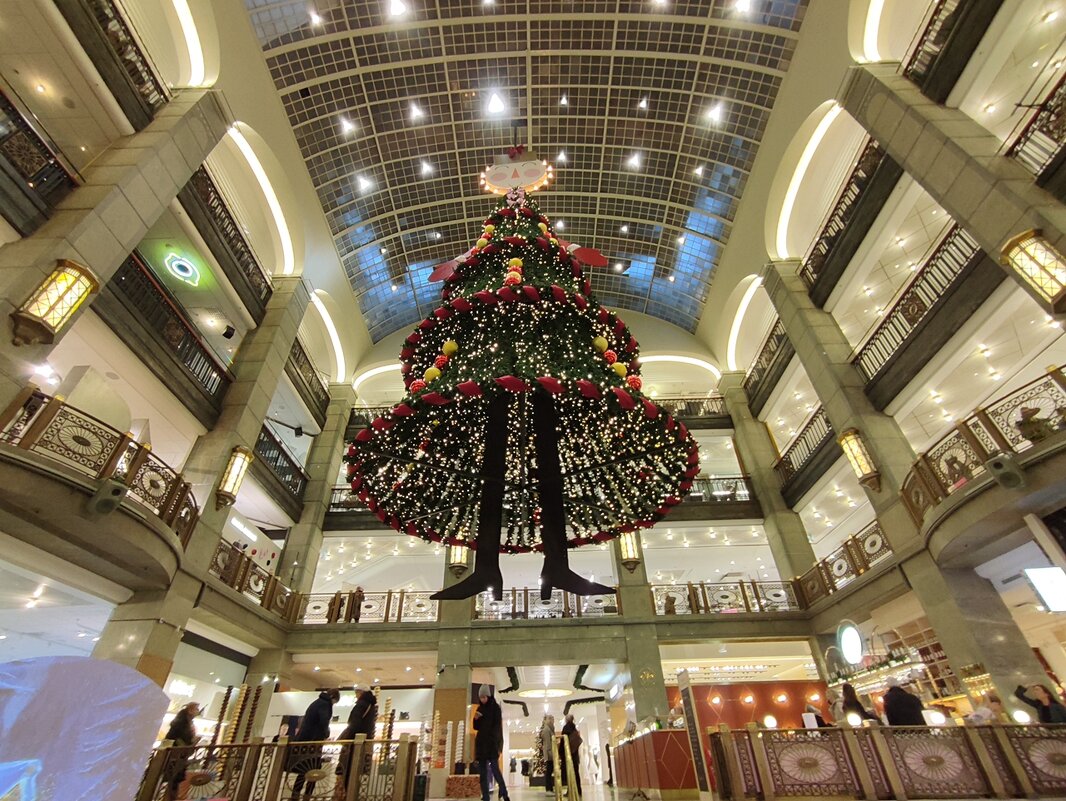 Стокгольм Швеция рождественская декорация универмага "NK" - wea *