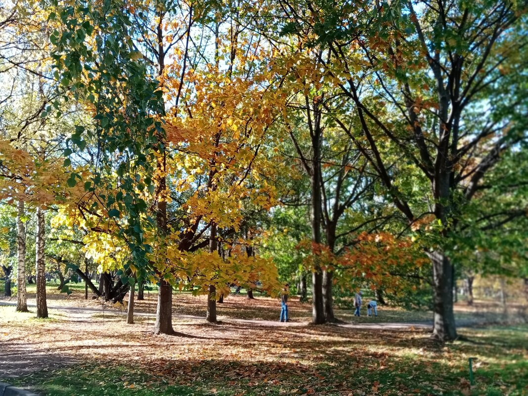 Коломенский парк осенью