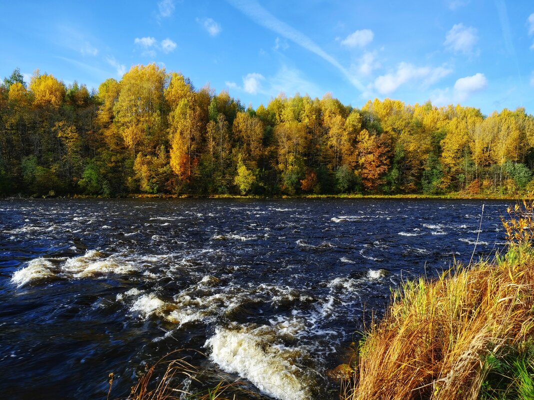 Река Мста, осень - Aleksey Mychkov