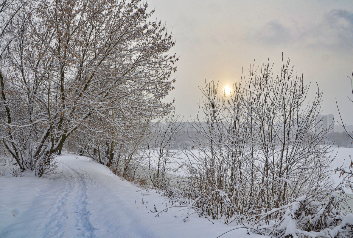 Солнце за снежной пеленой - Oleg4618 Шутченко