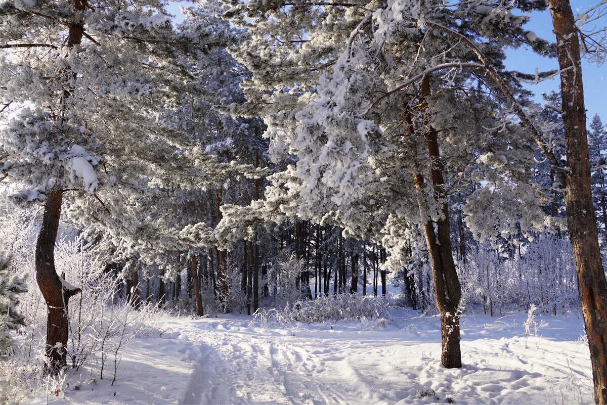 Зима - Наталия Григорьева