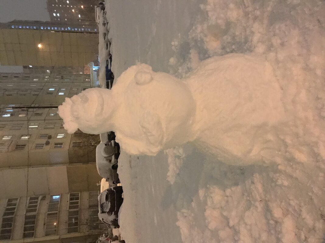 Снегопад в Москве - Pippa 