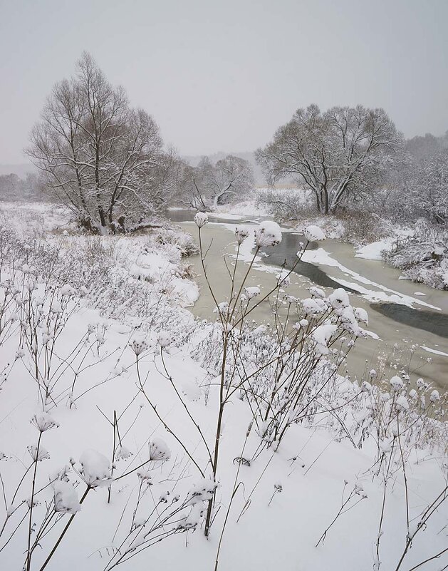 Долина под снегом - Сергей Курников