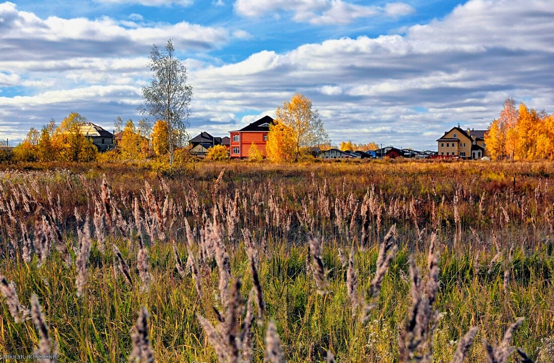 Осень в пригороде - Mikhail Irtyshskiy