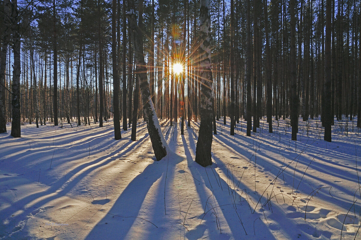 Зимнее солнце - Василий Колобзаров