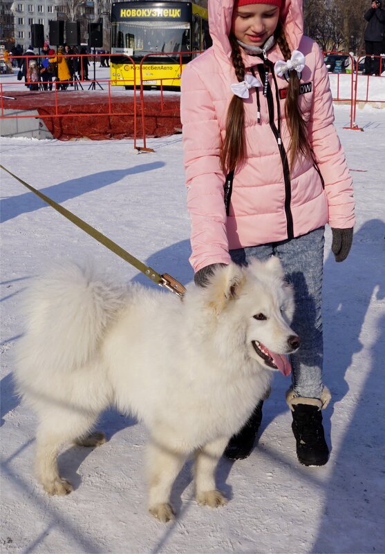 Снежный пёс - Наталия Григорьева