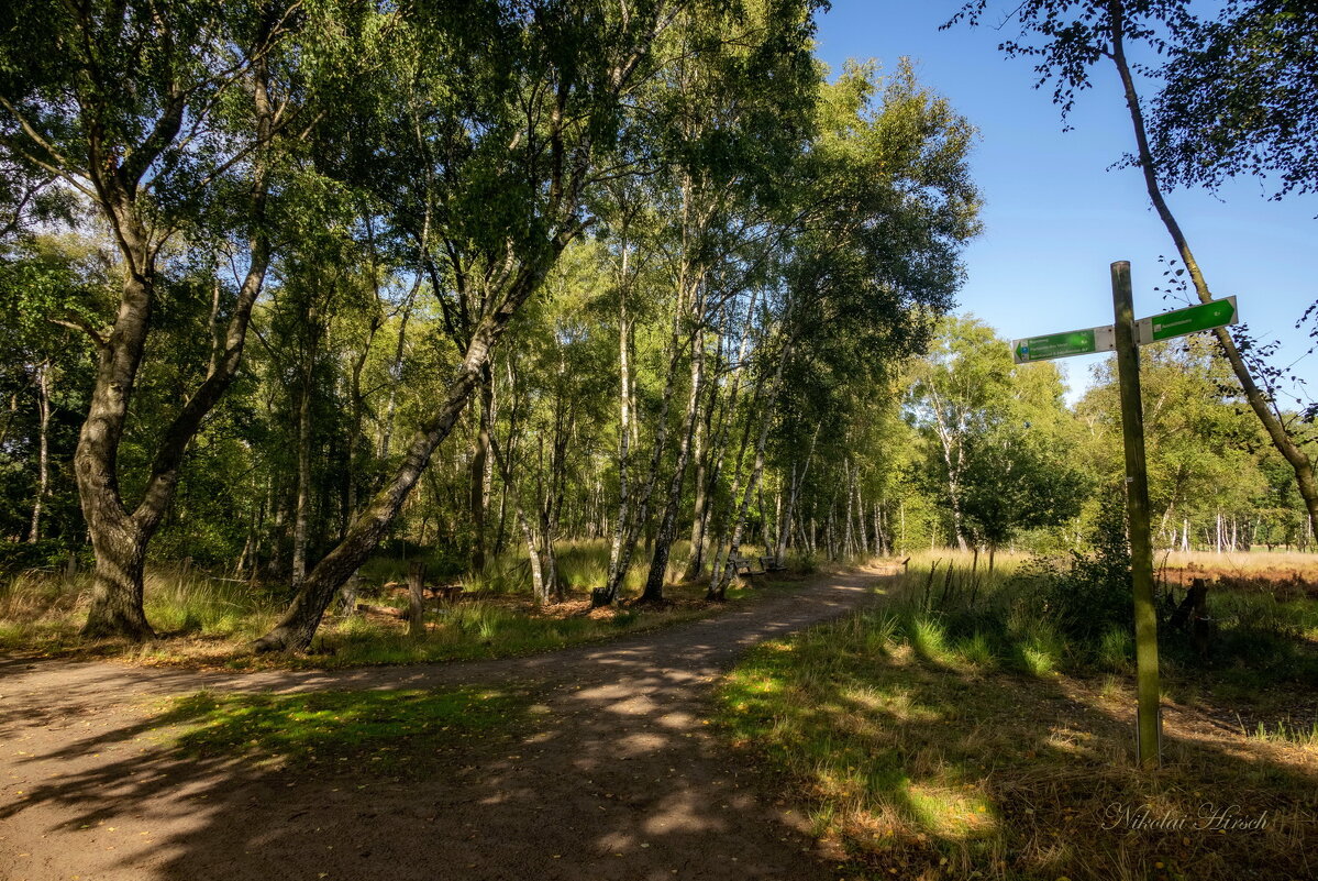 На развилке - Николай Гирш