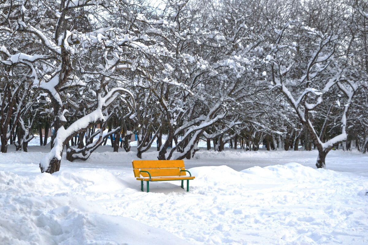 Желтая скамейка - Александра Климина