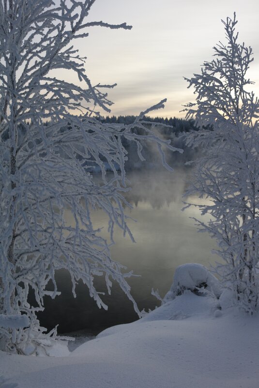 Река в зимних сумерках - Ольга 
