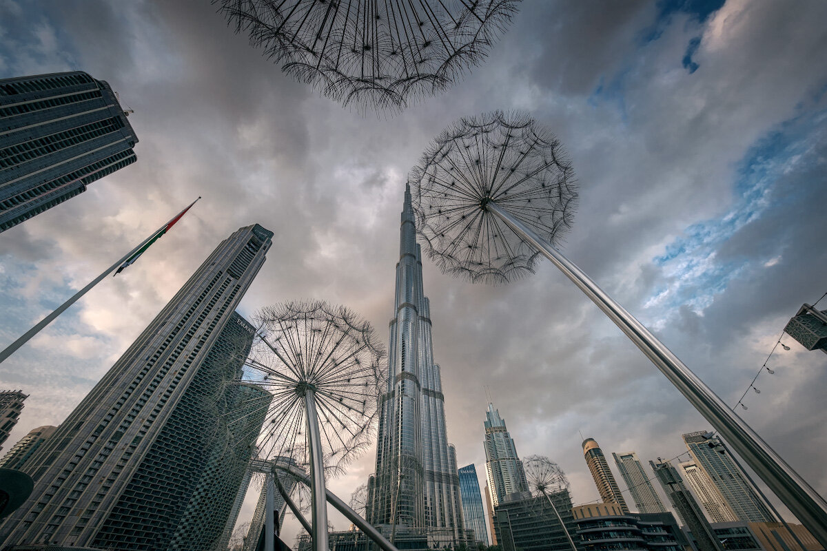 Dubai Dandelions At Cloudy Winter Day - Fuseboy 