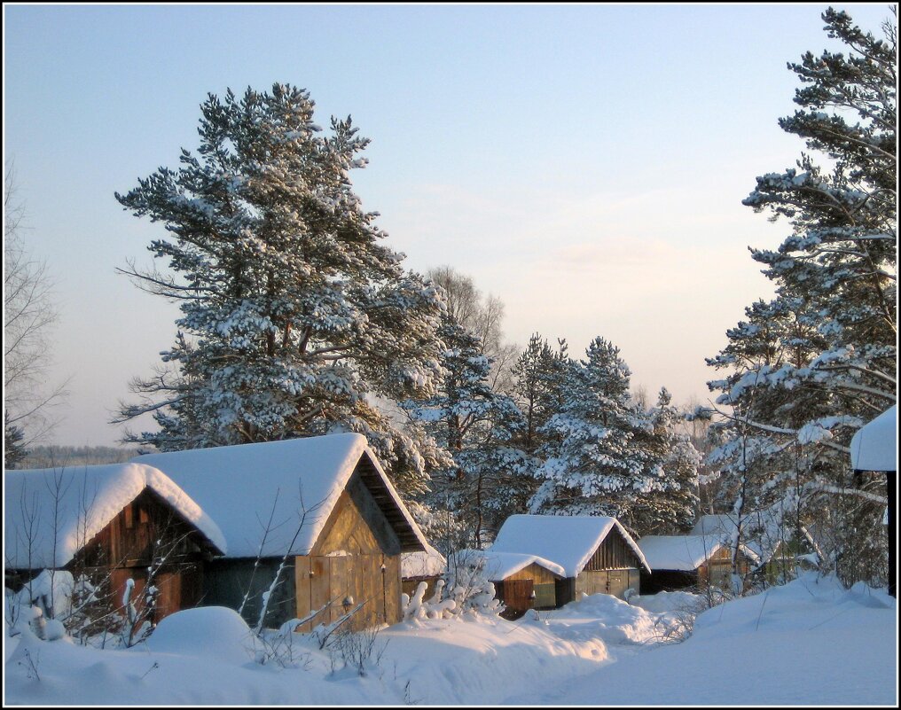 Сараи под снегом - Любовь Зинченко 