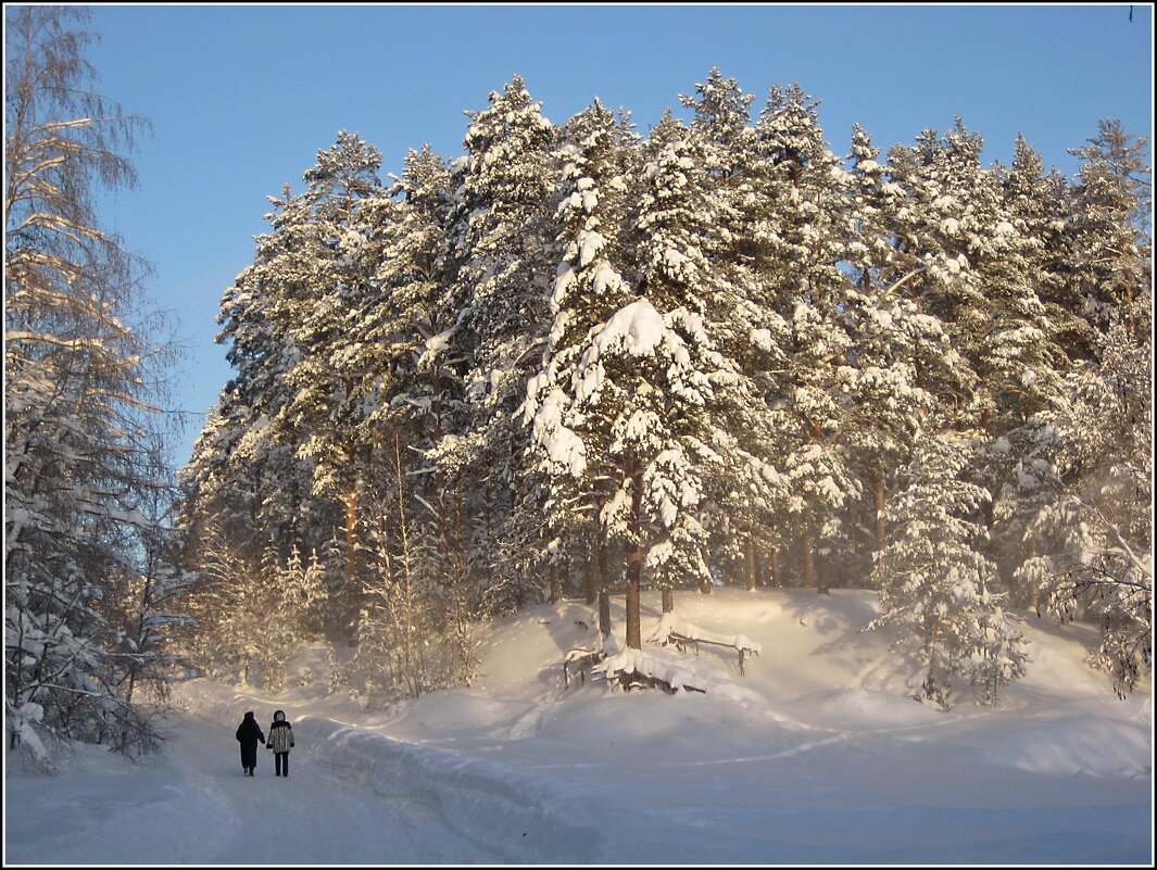 На прогулку в зимний лес - Любовь Зинченко 