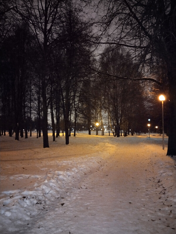 Ночные фонари парка. - tamara 