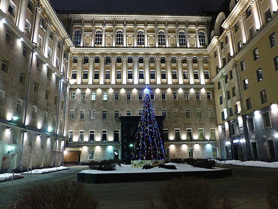 Москва предновогодняя - Лидия Бусурина