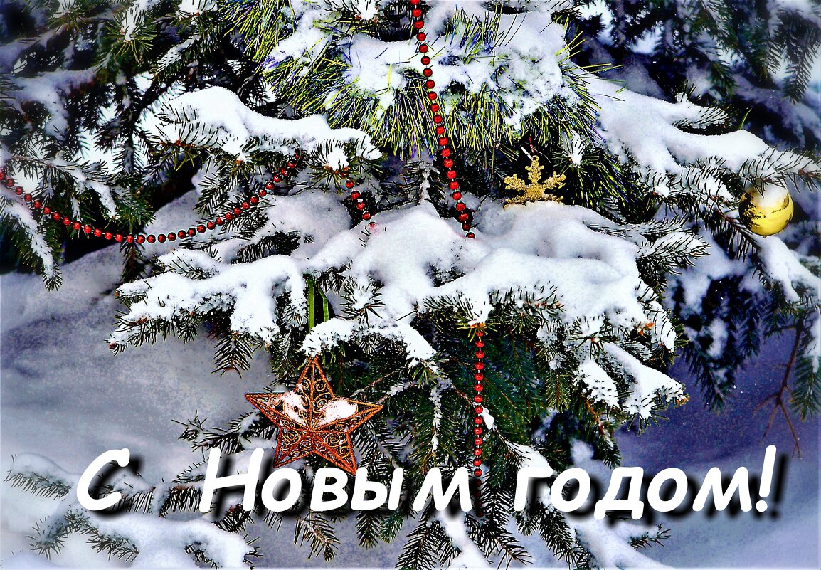 С наступающим Новым 2023 годом и со светлым праздником Рождества, друзья! - Ольга Русанова (olg-rusanowa2010)