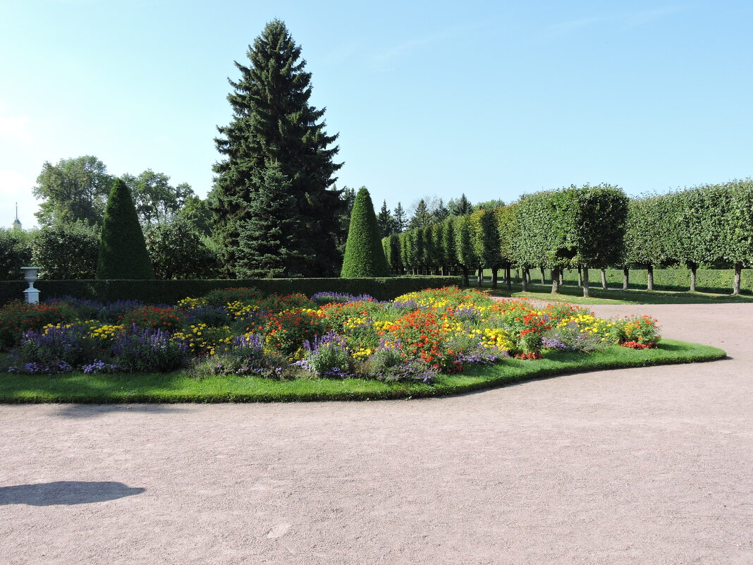 Верхний сад Петергофа  Фрагмент ландшафтного дизайна - Нина Колгатина 
