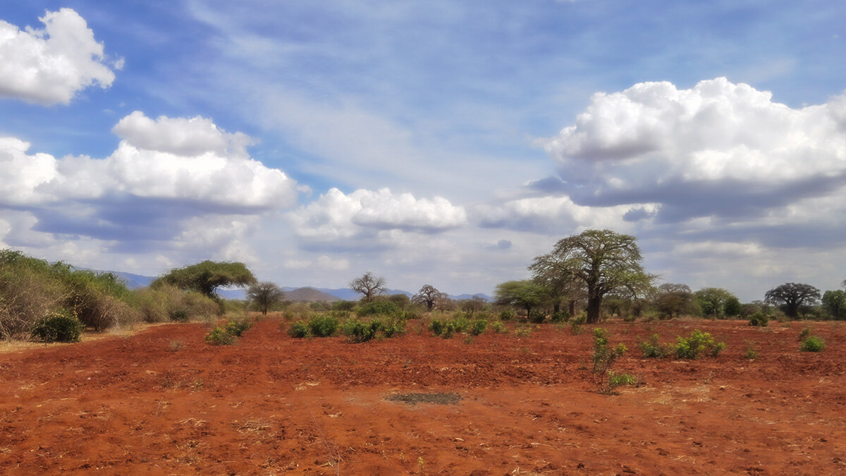 Красная земля Африки - Geolog 8