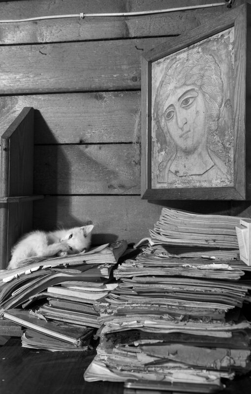 Ангел Златые Власы. Монастырские коты (из серии). - Николай Андреев