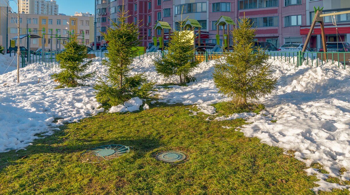 Травка зеленеет, солнышко блестит и мороз январский, в город к нам спешит - Валерий Иванович