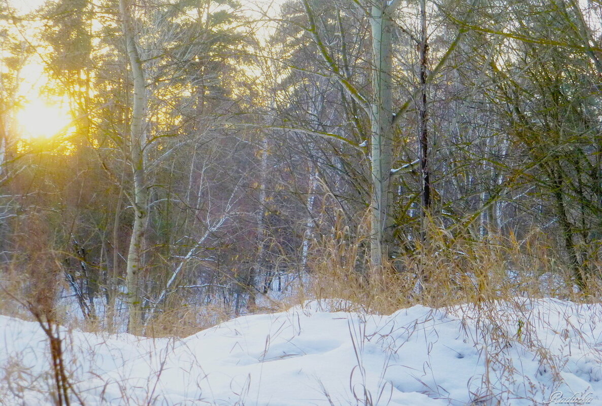 Солнце прячется за лесом... - Raduzka (Надежда Веркина)