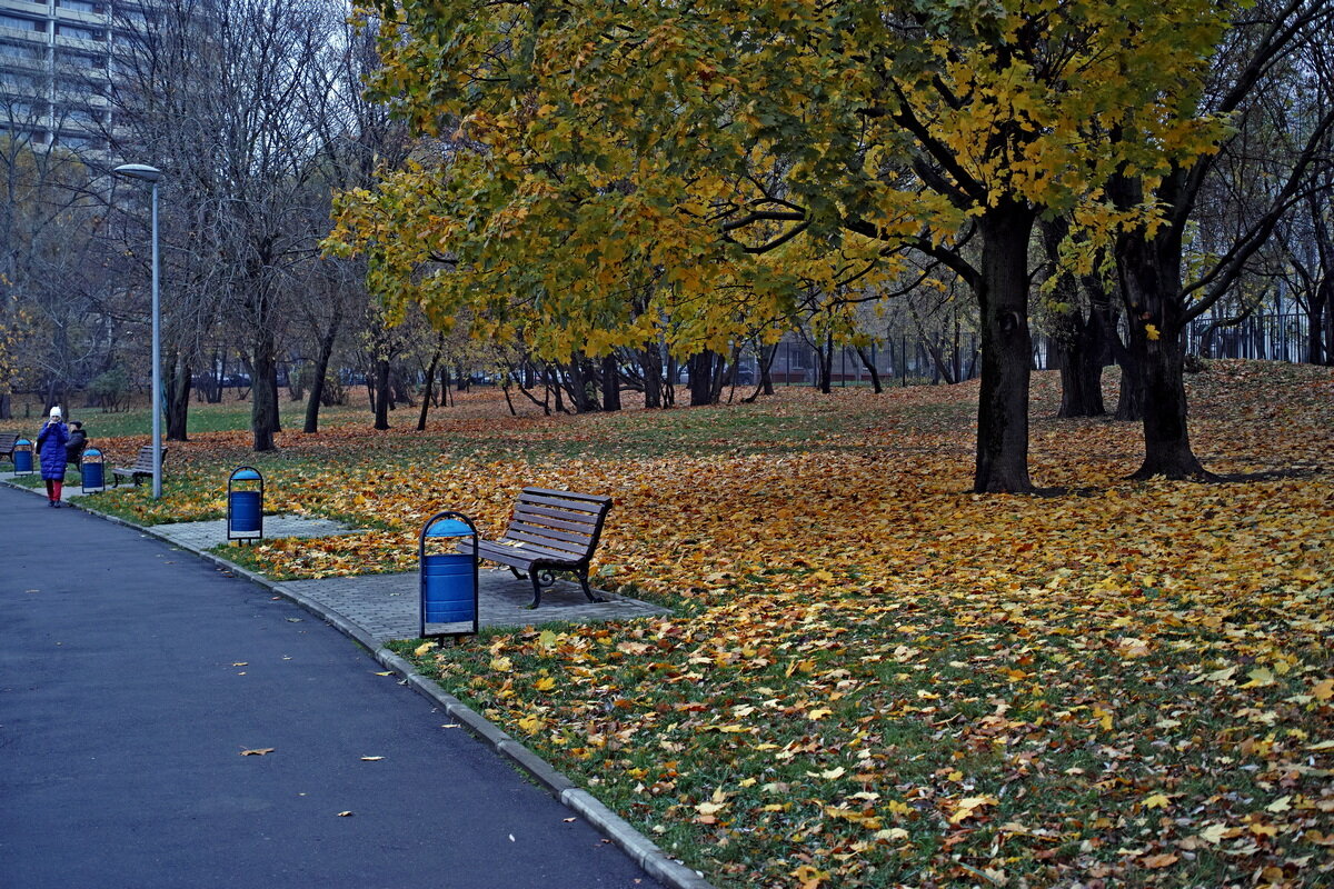 Осень в городском парке - Игорь Белоногов