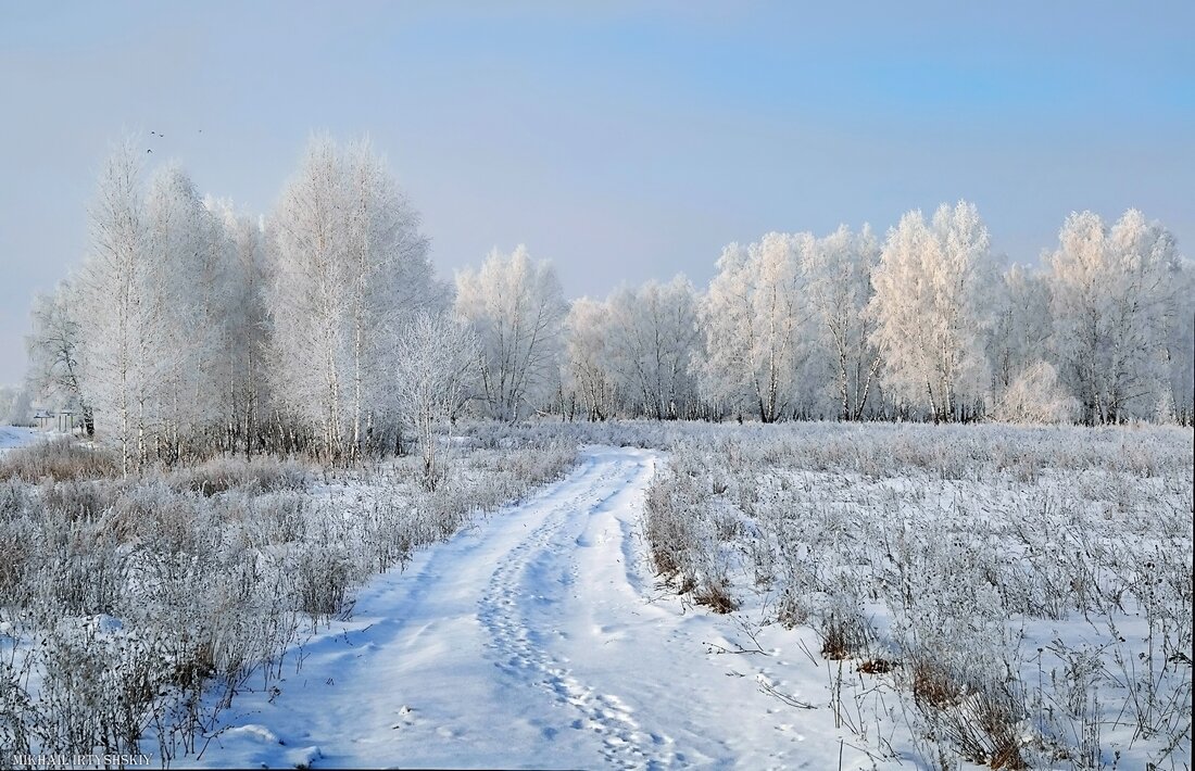 Зимняя прогулка - Mikhail Irtyshskiy
