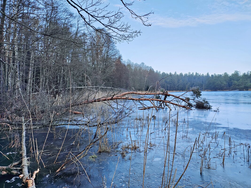 Январь на озере Швеция Скандинавия - wea *
