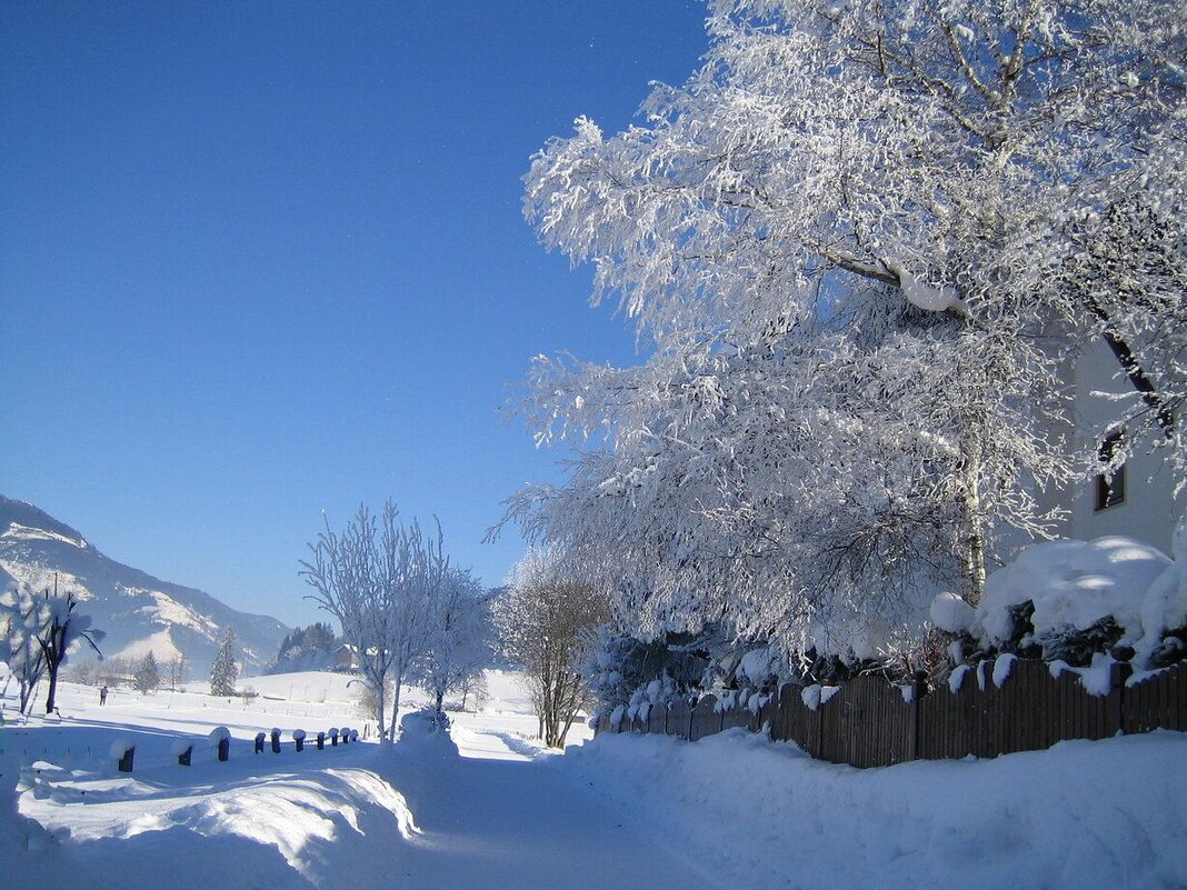 Альпийская зима - ZNatasha -