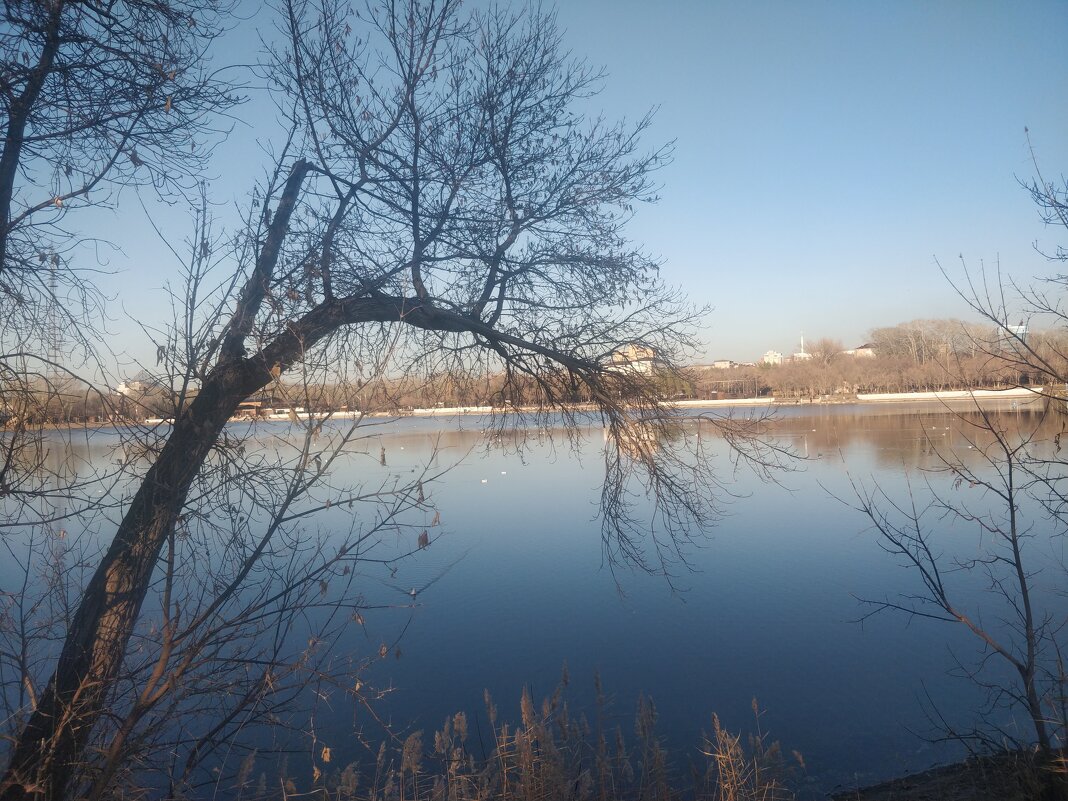 Осенний день на озере - Андрей Хлопонин