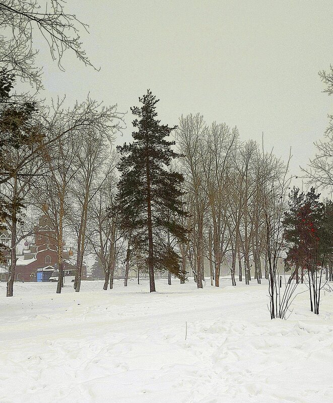 Пасмурный и снежный день января. - Мила Бовкун