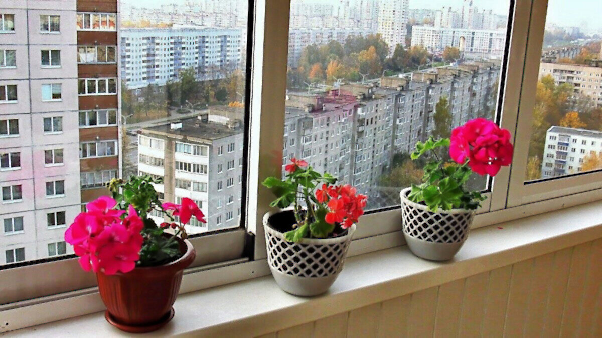Цветы на балконе - Игорь Сычёв