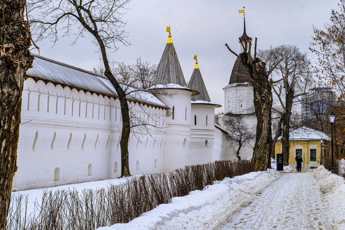 Спасо-Андроников монастырь - Георгий А