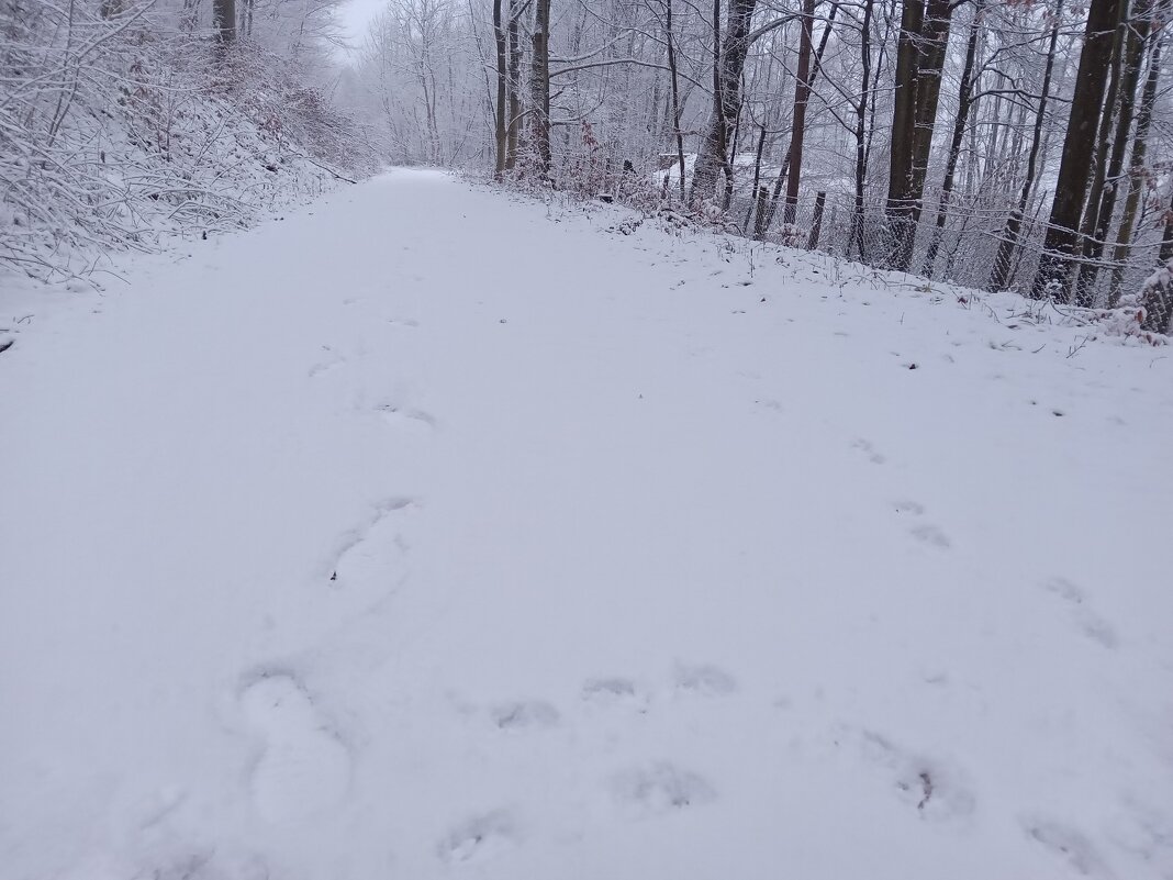 Прогулка со снегом - Heinz Thorns