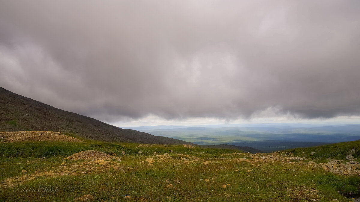 *** - Николай Гирш