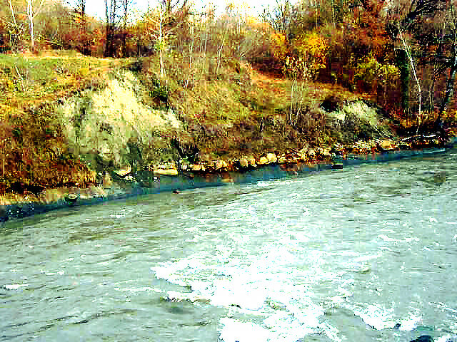 Река Белая - Ольга Протасова