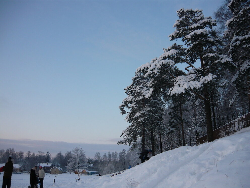 Красивая зима - Вера Щукина