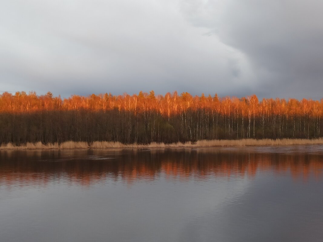 Вечерело - svk *